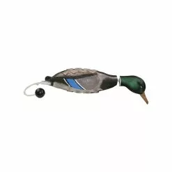 Apportable Canard Pour Chien De Chasse