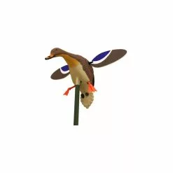 Cane Colvert à Ailes Tournantes Baby MOJO