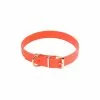 Collier Pour Chien Biothane Orange Country -Équipement De Chasse Magasin collier pour chien biothane orange