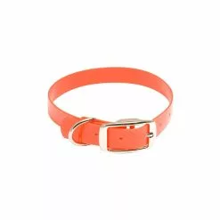 Collier Pour Chien Hiflex Country