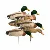 Higdon Outdoors Coquilles Colvert Têtes Floquées Higdon -Équipement De Chasse Magasin coquilles colvert tetes floquees higdon
