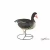 Forme D'oie Rieuse Sur Pattes Active Duck Hunter -Équipement De Chasse Magasin forme d oie rieuse sur pattes active duck hunter