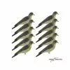 DUCK HUNTER Forme De Grive Litorne X10 -Équipement De Chasse Magasin forme de grive litorne x10