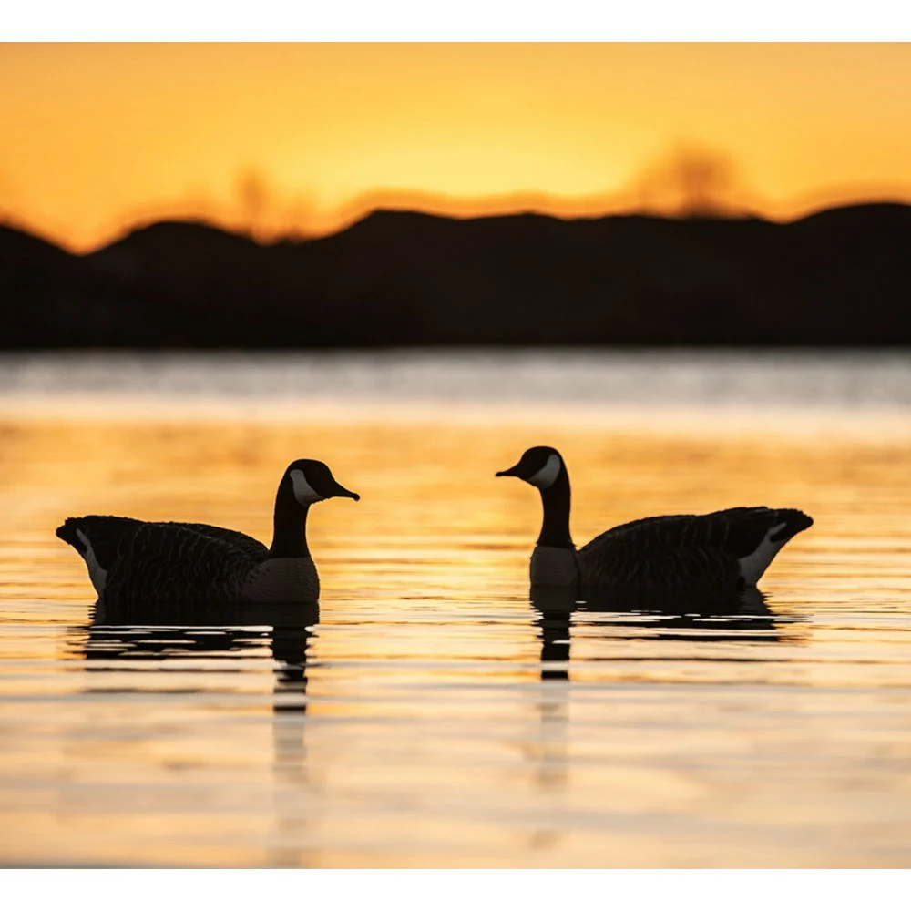 Formes D'oie Bernache Flottante AvianX X4 3 Formes D'oie Bernache Flottante AvianX X4