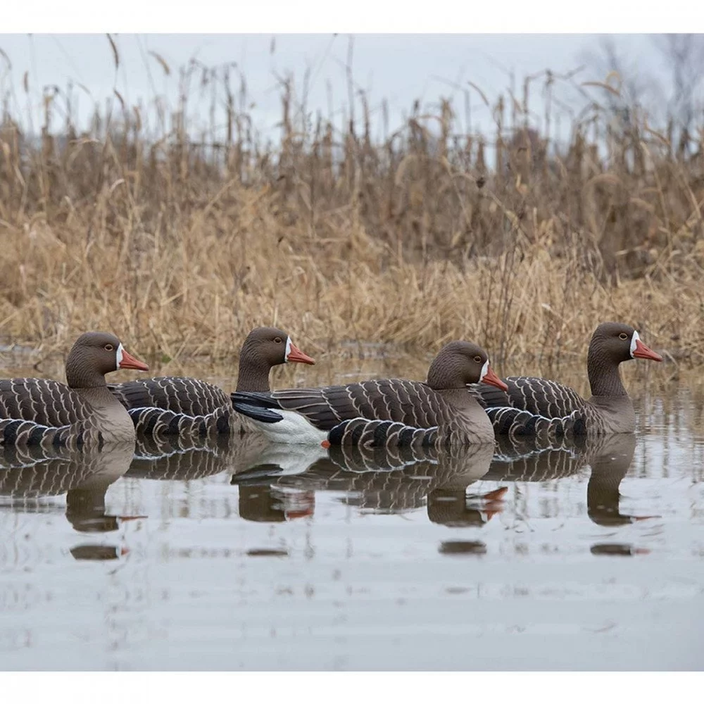 Formes D'oie Rieuse Flottante AvianX X4 4 Formes D'oie Rieuse Flottante AvianX X4 – Image 2