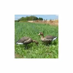 Formes D'oie Rieuse Sur Pattes Final Approach -Équipement De Chasse Magasin formes d oie rieuse sur pattes final approach 1