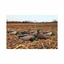 Formes De Colvert Sur Pattes AvianX -Équipement De Chasse Magasin formes de colvert sur pattes avianx 1