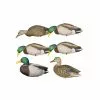 Formes De Colvert Sur Pattes AvianX -Équipement De Chasse Magasin formes de colvert sur pattes avianx