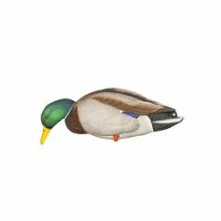Formes De Colvert Sur Pattes AvianX -Équipement De Chasse Magasin formes de colvert sur pattes avianx 3