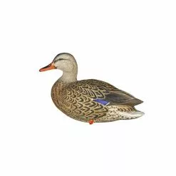 Formes De Colvert Sur Pattes AvianX -Équipement De Chasse Magasin formes de colvert sur pattes avianx 4