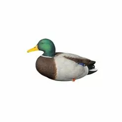 Formes De Colvert Sur Pattes AvianX -Équipement De Chasse Magasin formes de colvert sur pattes avianx 5