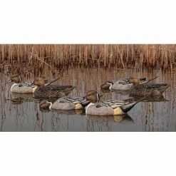 Formes De Pilet AvianX Actifs -Équipement De Chasse Magasin formes de pilet avianx actifs 1