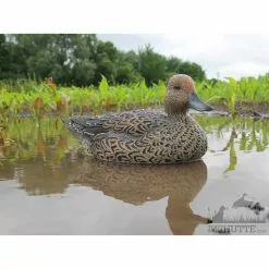 Formes De Pilet AvianX Actifs -Équipement De Chasse Magasin formes de pilet avianx actifs 2