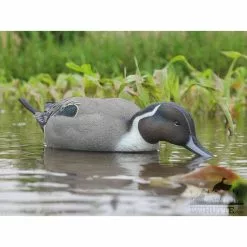 Formes De Pilet AvianX Actifs -Équipement De Chasse Magasin formes de pilet avianx actifs 4