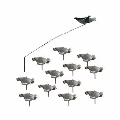 Les Packs Du Chasseur De Pigeon Pack Débutant Du Chasseur De Pigeons