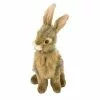 Peluche Lapin 22 Cm -Équipement De Chasse Magasin peluche lapin 22 cm