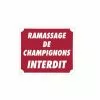 Ramassage De Champignons Interdit 2 Ramassage De Champignons Interdit -Équipement De Chasse Magasin ramassage de champignons interdit 1