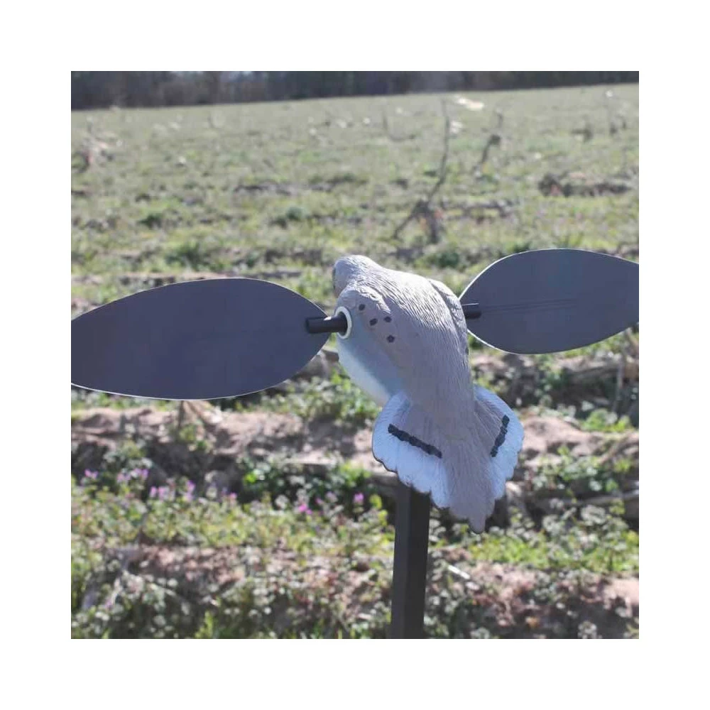 Tourterelle Elite Series Mojo 5 Tourterelle Elite Series Mojo – Image 3